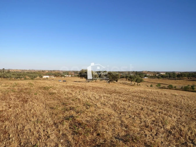 Terreno Agricola ou Rústico para Venda em Ourique Foto 6