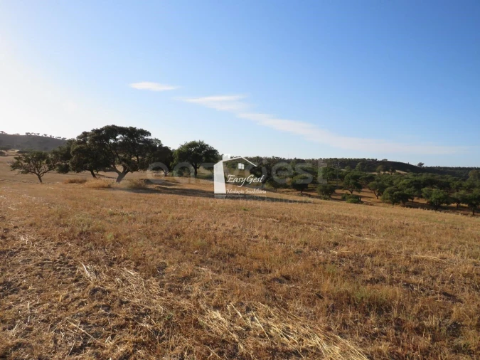 Terreno Agricola ou Rústico para Venda em Ourique Foto 8