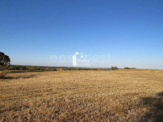 Terreno Agricola ou Rústico para Venda em Ourique Foto 10