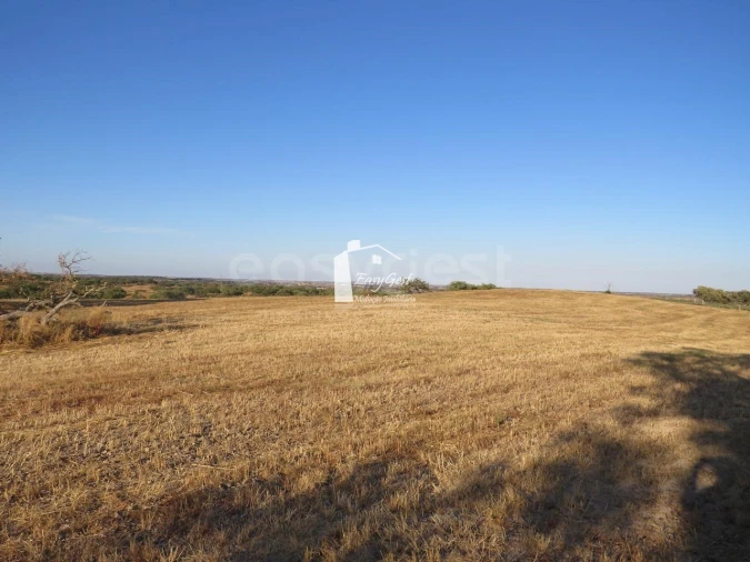 Terreno Agricola ou Rústico para Venda em Ourique Foto 11