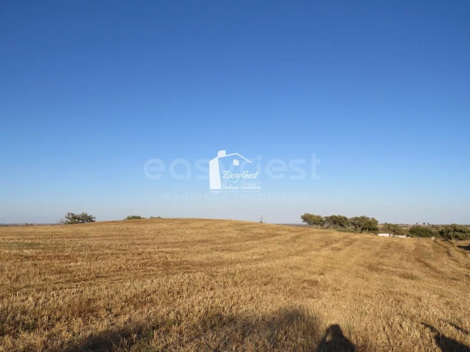 Terreno Agricola ou Rústico para Venda em Ourique Foto 13