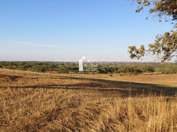 Terreno Agricola ou Rústico para Venda em Ourique Foto 15