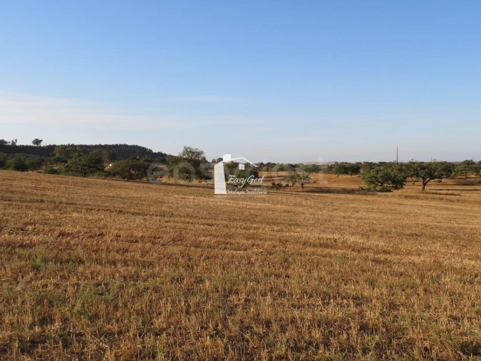 Terreno Agricola ou Rústico para Venda em Ourique Foto 16