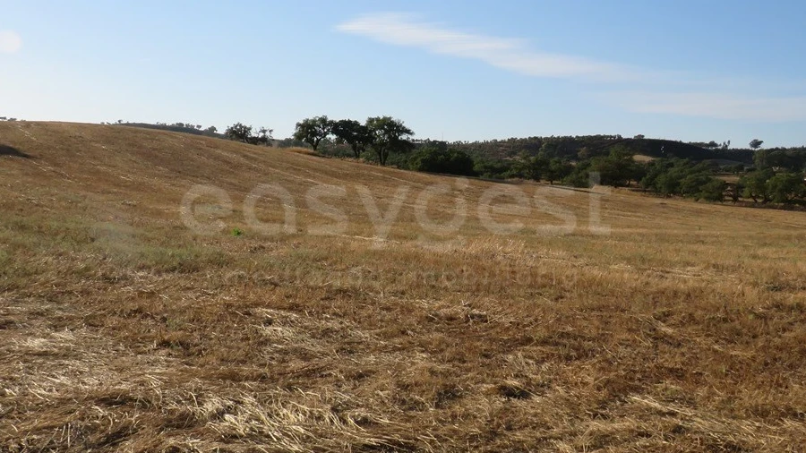 Terreno Agricola ou Rústico para Venda em Ourique