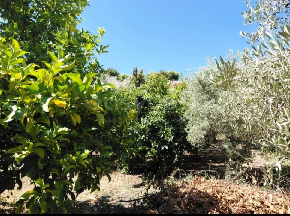 Moradia T4 para Venda em Freixo de Espada a Cinta e Mazouco Foto 32