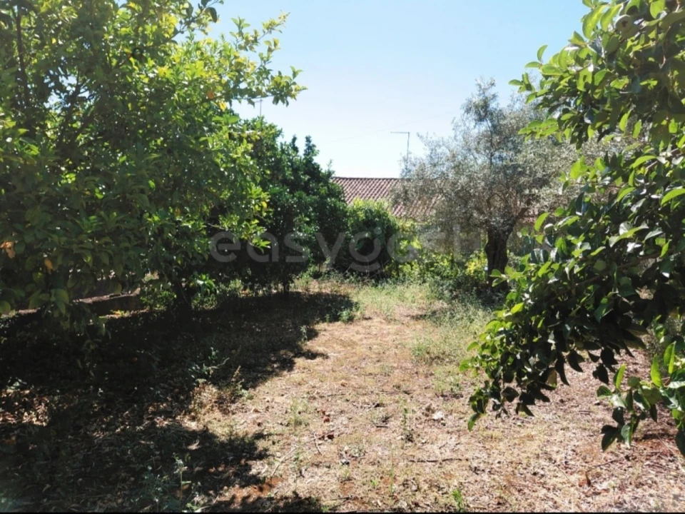 Moradia T4 para Venda em Freixo de Espada a Cinta e Mazouco Foto 33