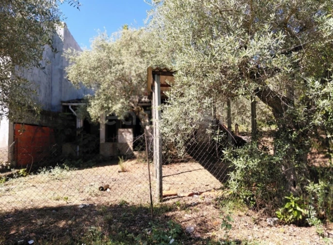 Moradia T4 para Venda em Freixo de Espada a Cinta e Mazouco Foto 29