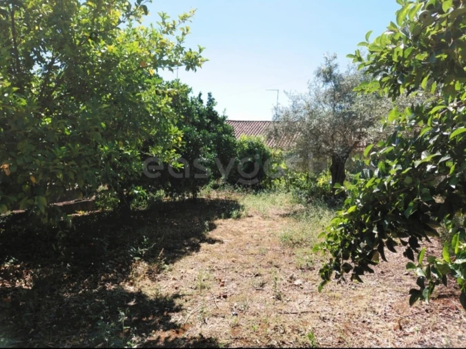 Moradia T4 para Venda em Freixo de Espada a Cinta e Mazouco Foto 33