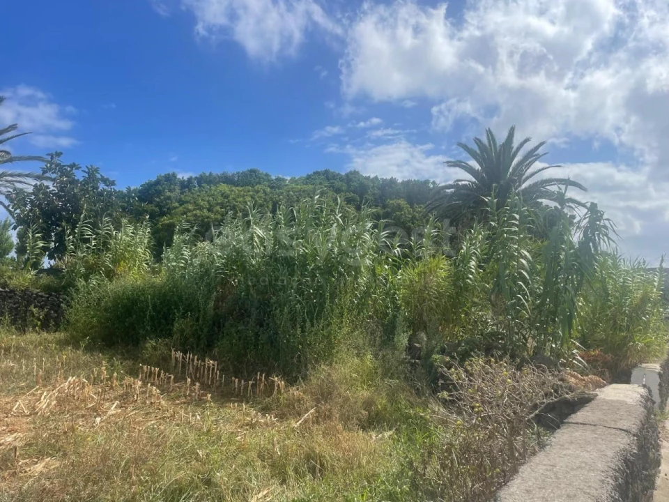 Terreno para Venda em Cabo da Praia Foto 8