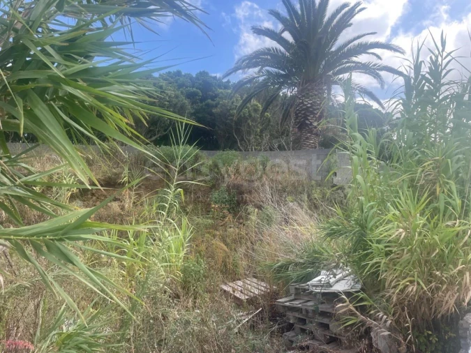 Terreno para Venda em Cabo da Praia Foto 16
