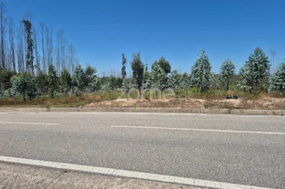 Terreno para Venda em Caranguejeira