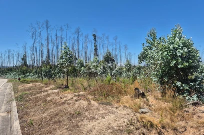 Terreno para Venda em Caranguejeira