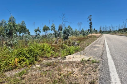 Terreno para Venda em Caranguejeira