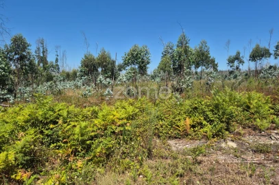 Terreno para Venda em Caranguejeira
