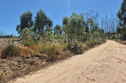 Terreno para Venda em Caranguejeira
