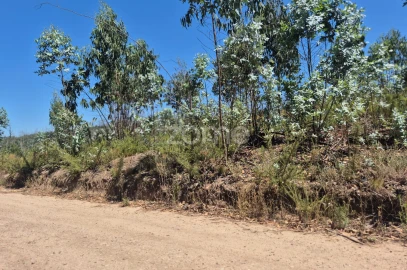 Terreno para Venda em Caranguejeira