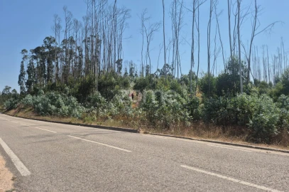 Terreno para Venda em Caranguejeira