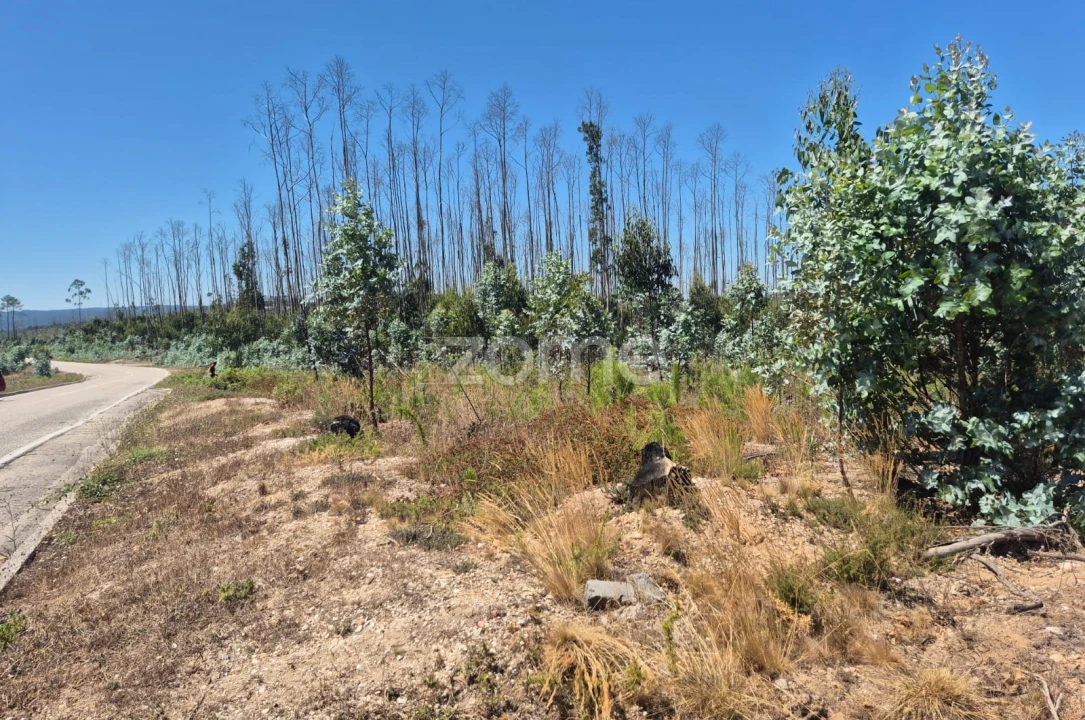 Terreno para Venda em Caranguejeira Foto 2