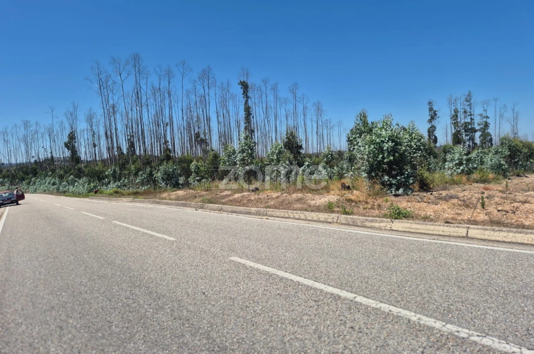 Terreno para Venda em Caranguejeira Foto 4