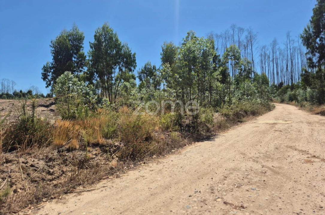 Terreno para Venda em Caranguejeira Foto 10