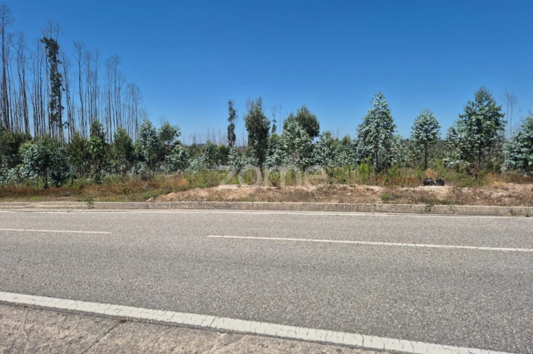 Terreno para Venda em Caranguejeira Foto 3