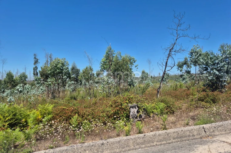 Terreno para Venda em Caranguejeira Foto 6