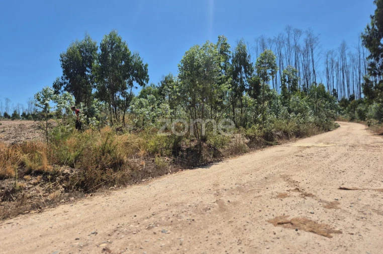 Terreno para Venda em Caranguejeira Foto 12