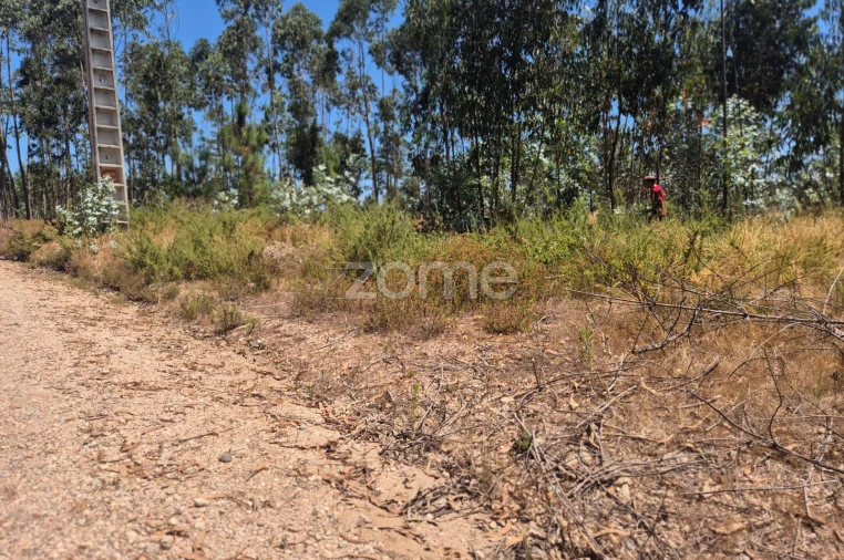 Terreno para Venda em Caranguejeira Foto 15