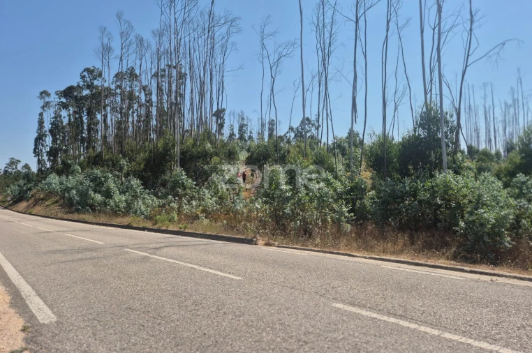 Terreno para Venda em Caranguejeira Foto 19
