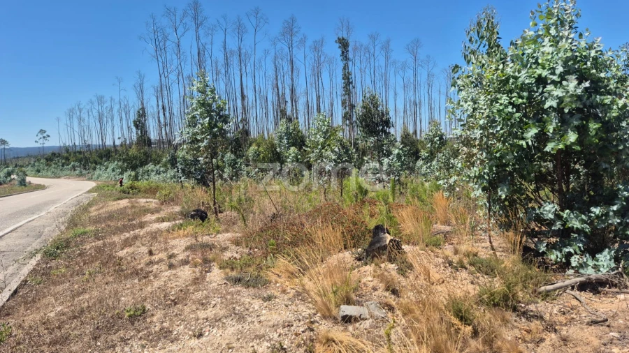 Terreno para Venda em Caranguejeira