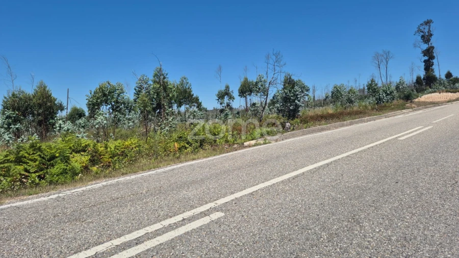 Terreno para Venda em Caranguejeira