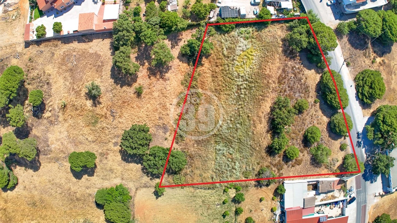 Terreno Agricola ou Rústico para Venda em Almancil Foto 3