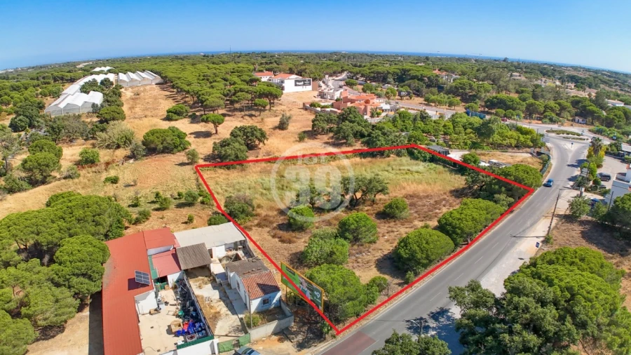 Terreno Agricola ou Rústico para Venda em Almancil