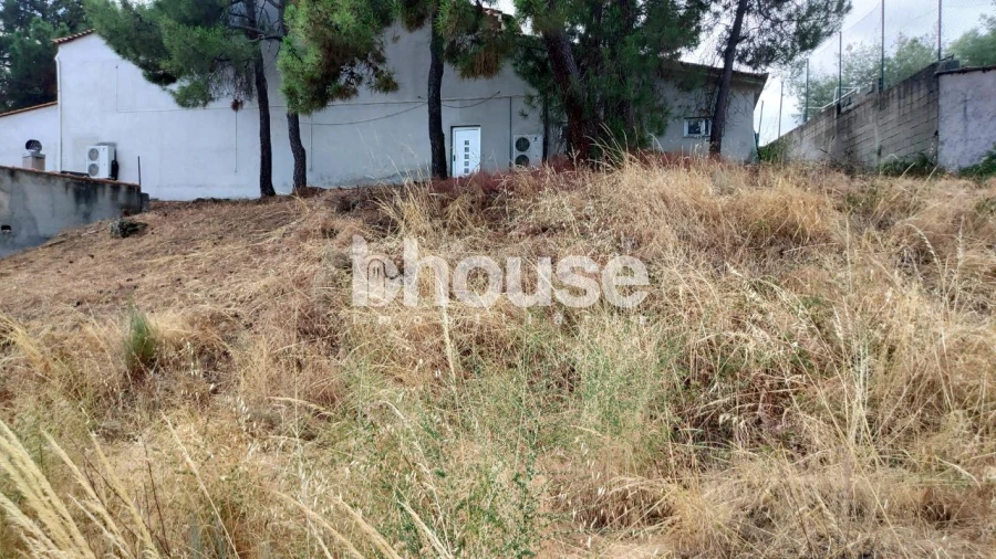 Terreno para Venda em Valpaços e Sanfins Foto 8