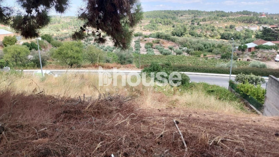 Terreno para Venda em Valpaços e Sanfins Foto 14