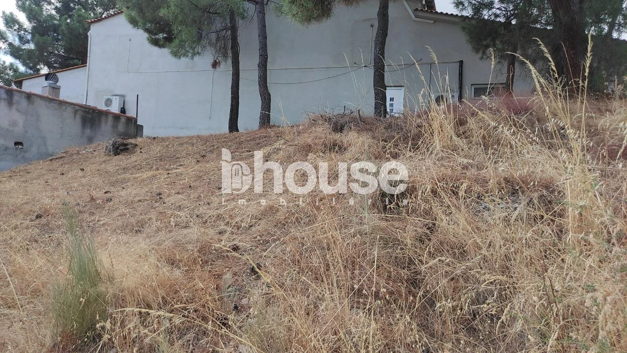 Terreno para Venda em Valpaços e Sanfins Foto 9