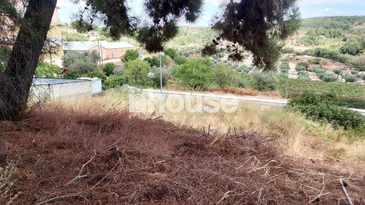 Terreno para Venda em Valpaços e Sanfins Foto 13