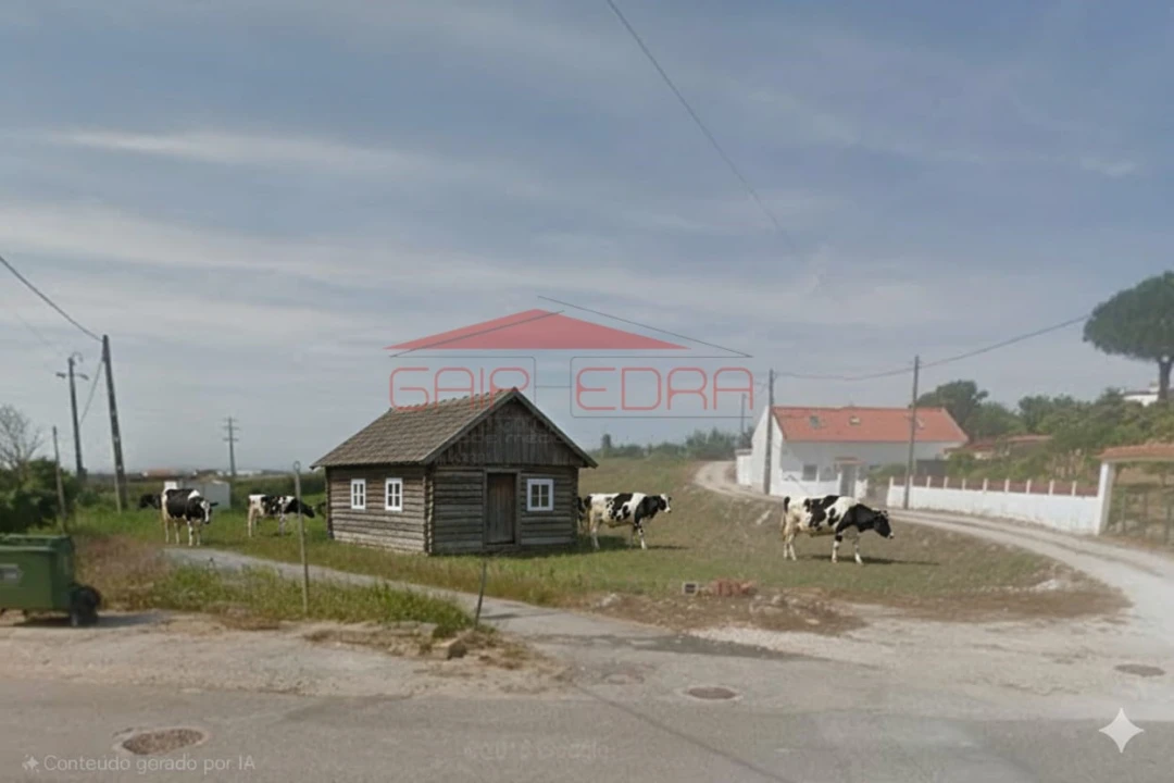 Terreno Agricola ou Rústico para Venda em Atouguia da Baleia Foto 1