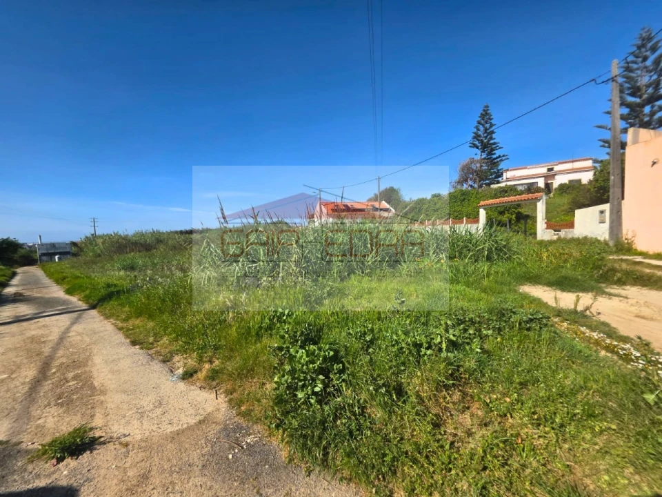 Terreno Agricola ou Rústico para Venda em Atouguia da Baleia Foto 1