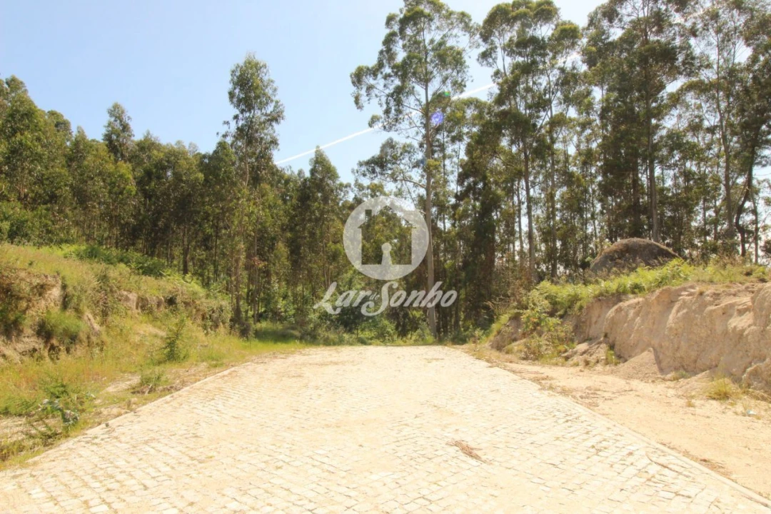 Terreno Agricola ou Rústico para Venda em Arões (São Romão) Foto 1