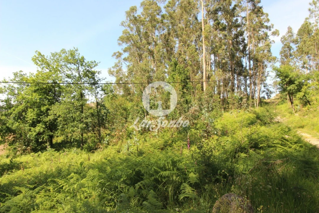 Terreno Agricola ou Rústico para Venda em Arões (São Romão) Foto 6