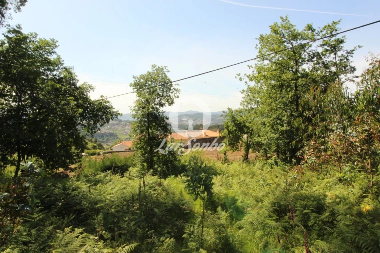 Terreno Agricola ou Rústico para Venda em Arões (São Romão) Foto 7