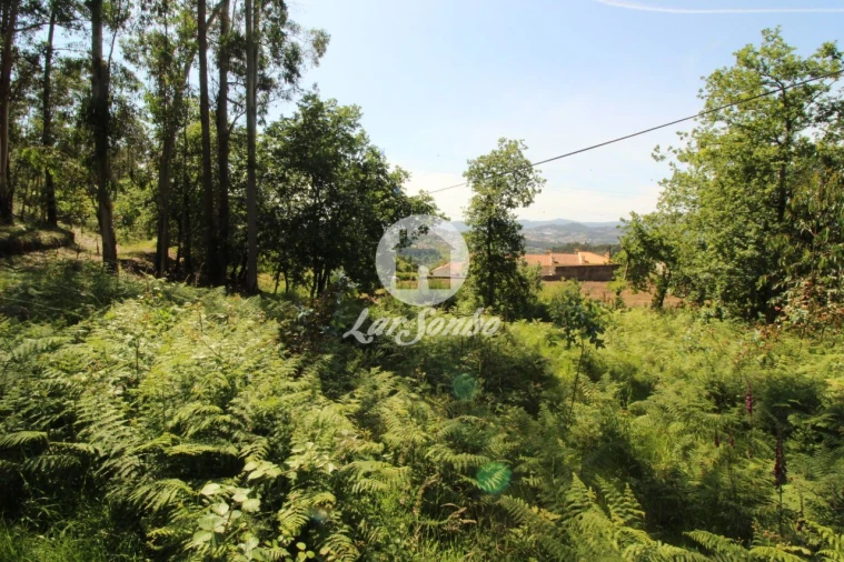 Terreno Agricola ou Rústico para Venda em Arões (São Romão) Foto 10