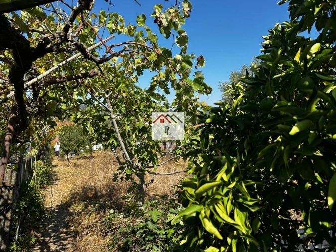 Moradia T4 para Venda em Trouxemil e Torre de Vilela Foto 22