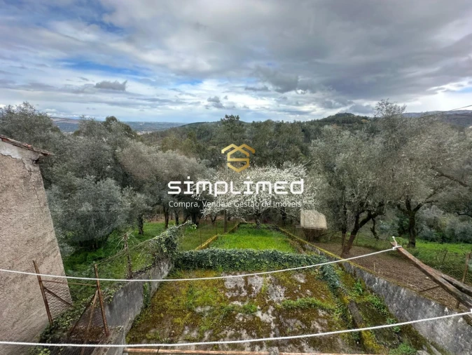 Moradia T4 para Venda em Arganil Foto 45