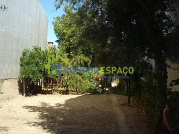 Terreno para Venda em Alcains