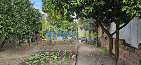 Terreno para Venda em Alcains