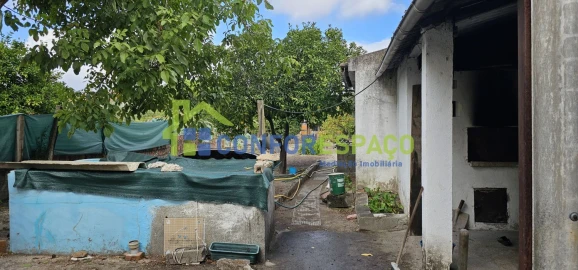 Terreno para Venda em Alcains
