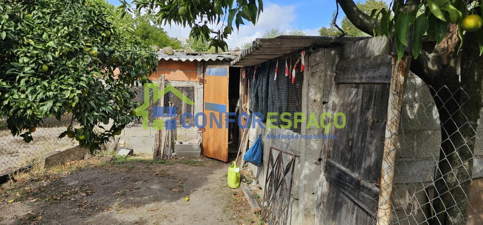 Terreno para Venda em Alcains Foto 11