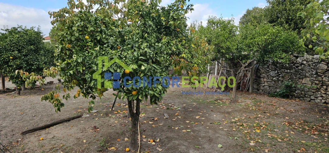 Terreno para Venda em Alcains Foto 8